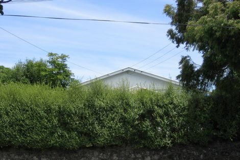 Photo of property in 49 Lloyd Avenue, Mount Albert, Auckland, 1025