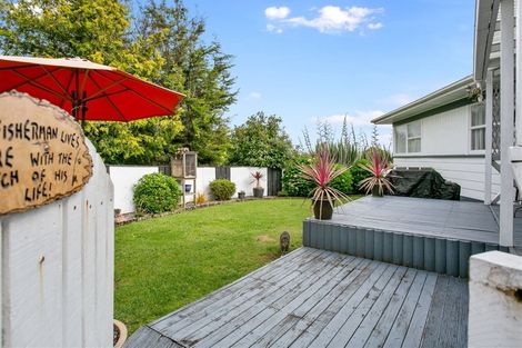 Photo of property in 118 Tirau Street, Putaruru, 3411