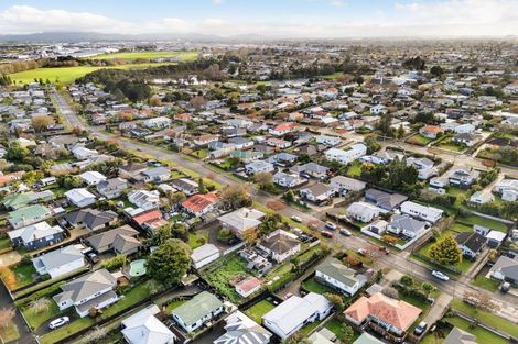 Photo of property in 17 Hinau Street, Maeroa, Hamilton, 3200