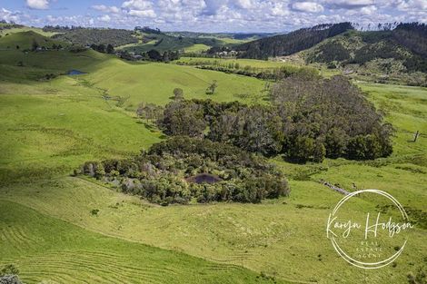 Photo of property in 703c Tinopai Road, Tinopai, Matakohe, 0593