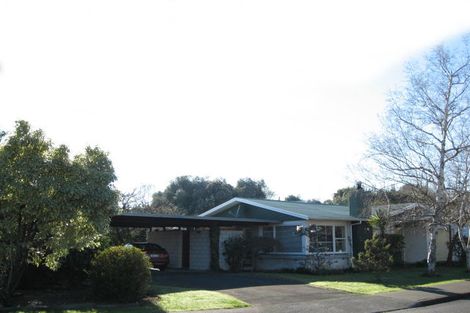 Photo of property in 1 Shortland Place, Havelock North, 4130