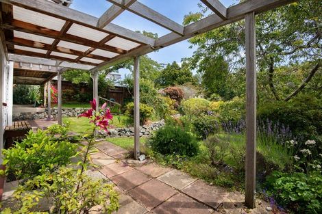 Photo of property in 17 Brownville Crescent, Maori Hill, Dunedin, 9010