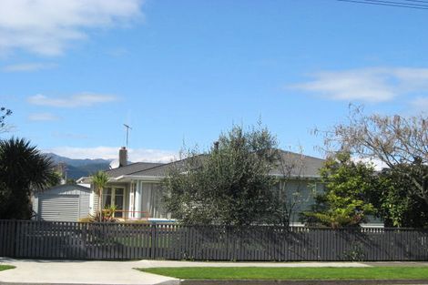 Photo of property in 44 Queenwood Road, Levin, 5510