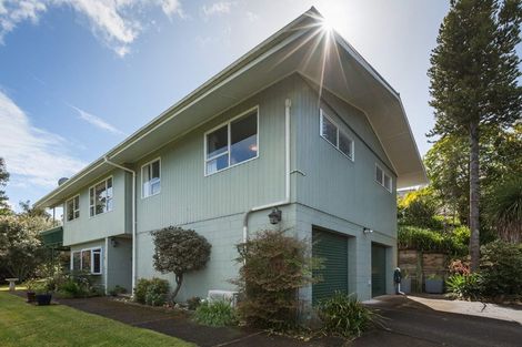 Photo of property in 101 Oakley Crescent, Thames, 3500