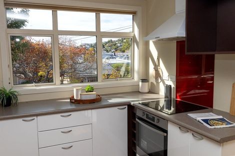 Photo of property in 11 Glenross Street, Glenross, Dunedin, 9011