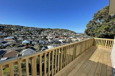 Photo of property in 29 Freeling Street, Island Bay, Wellington, 6023