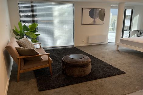 Photo of property in Pinnacle Apartments, W303/160 Victoria Street, Te Aro, Wellington, 6011