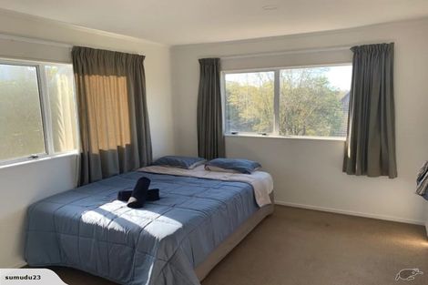 Photo of property in 17 Ngapuhi Road, Remuera, Auckland, 1050