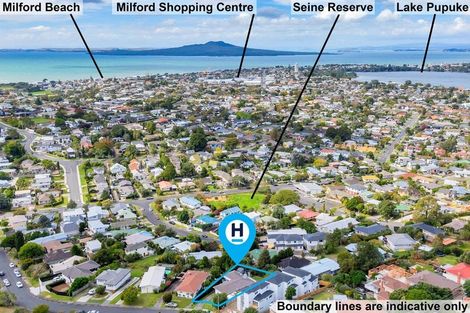 Photo of property in 46 Seine Road, Forrest Hill, Auckland, 0620