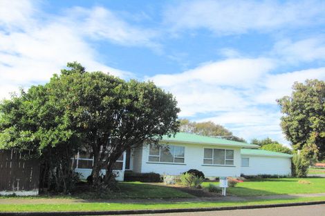Photo of property in 2 Baden Street, Levin, 5510