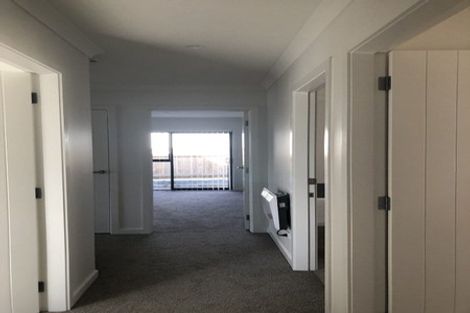 Photo of property in 29 Dudley Street, Levin, 5510