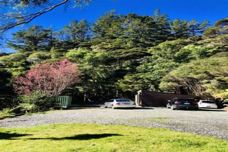 Photo of property in 850 Buffalo Road, Coromandel, 3506