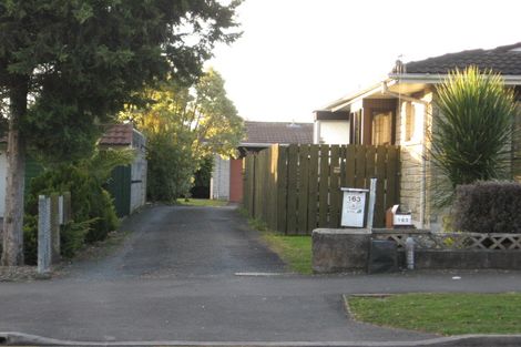 Photo of property in 163a Clarkin Road, Fairfield, Hamilton, 3214