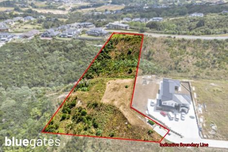 Photo of property in 19 Kanuka Road, Hobsonville, Auckland, 0616