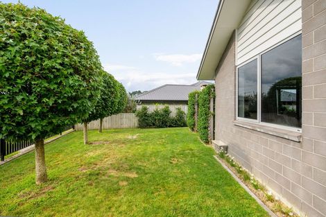 Photo of property in 31 Matariki Terrace, Ngaruawahia, Hamilton, 3288