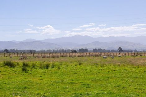 Photo of property in 445 Perrys Road, East Taratahi, Carterton, 5887