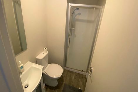 Photo of property in 18 Charlemont Street, Whitiora, Hamilton, 3200