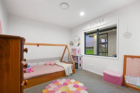 Photo of property in 101 Livingstone Road, Ngahinapouri, Hamilton, 3290