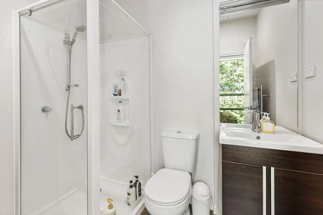 Photo of property in The Altair, 53/120 Rintoul Street, Newtown, Wellington, 6021