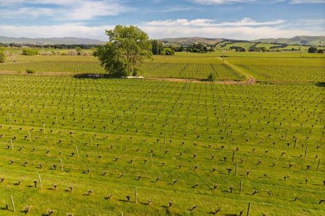 Photo of property in 35 Brighton Street, Island Bay, Wellington, 6023