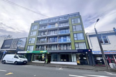 Photo of property in Dual Apartments, 401/142 Vivian Street, Te Aro, Wellington, 6011