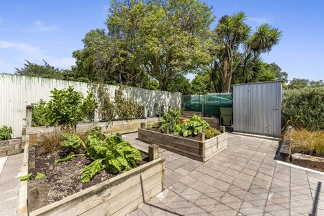 Photo of property in 19 Galway Avenue, Hokowhitu, Palmerston North, 4410