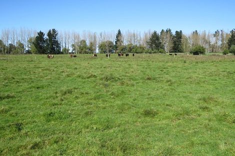 Photo of property in 141 Nixons Road, Fairlie, 7987