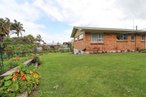 Photo of property in 100 Reservoir Road, Thames, 3500