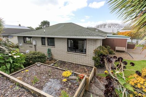 Photo of property in 69a Mangorei Road, Strandon, New Plymouth, 4312