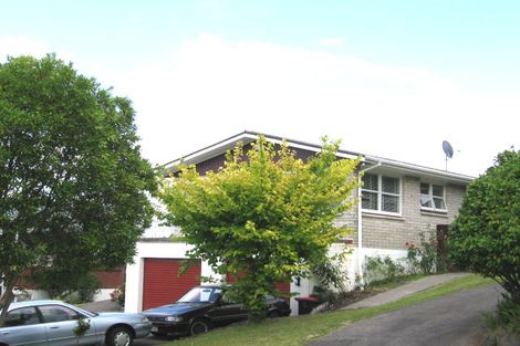 Photo of property in 51 Trevola Street, New Windsor, Auckland, 0600