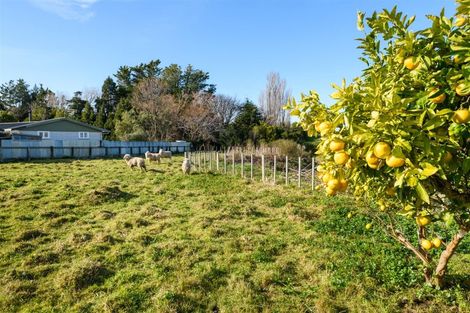 Photo of property in 9 Totara Street, Marton, 4710