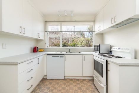 Photo of property in 233 Condell Avenue, Papanui, Christchurch, 8053