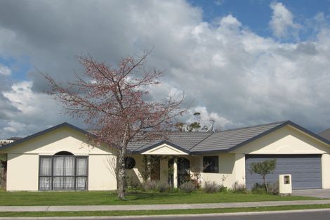 Photo of property in 76 Bethlehem Heights, Bethlehem, Tauranga, 3110