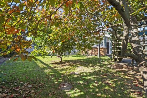 Photo of property in 4 Seaforth Avenue, Milson, Palmerston North, 4414