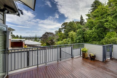 Photo of property in 49 Chaucer Road, Hospital Hill, Napier, 4110