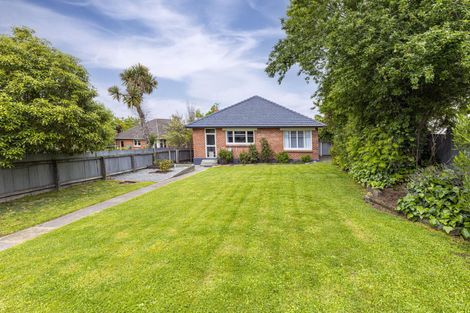 Photo of property in 29 Essex Street, Marchwiel, Timaru, 7910