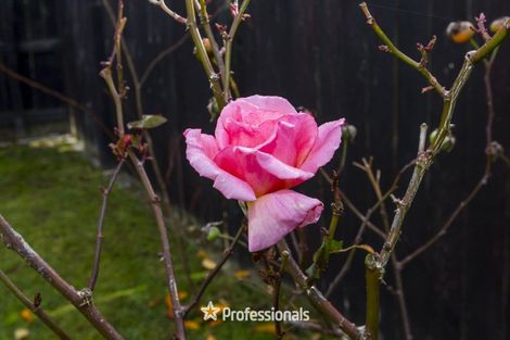 Photo of property in 82b Mcleod Street, Elderslea, Upper Hutt, 5018