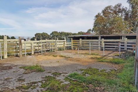 Photo of property in 221 Troup Road, Woodville, 4999