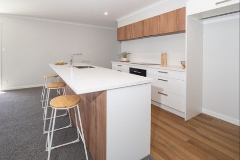 Photo of property in 58 Harrison Street, Allenton, Ashburton, 7700