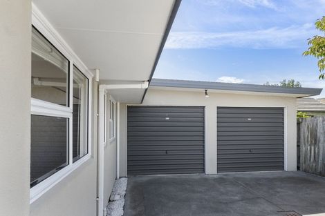 Photo of property in 145a Redwood Street, Redwoodtown, Blenheim, 7201