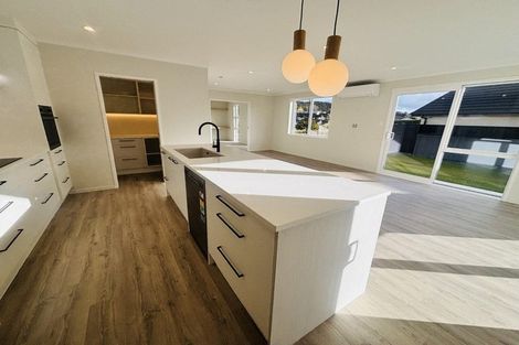 Photo of property in 39 Muster Road, Pukekohe, 2120