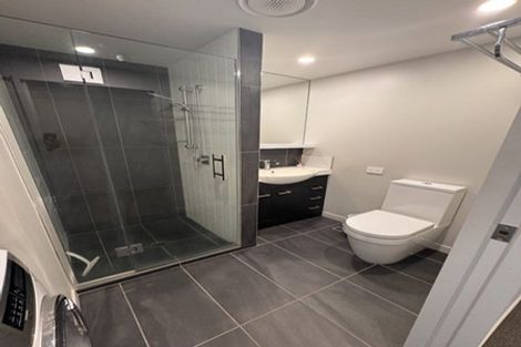 Photo of property in Vsp South, 1001/166 Victoria Street, Te Aro, Wellington, 6011