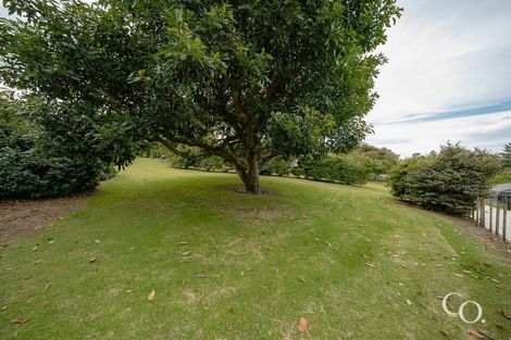 Photo of property in 47 Bell Street, Judea, Tauranga, 3110