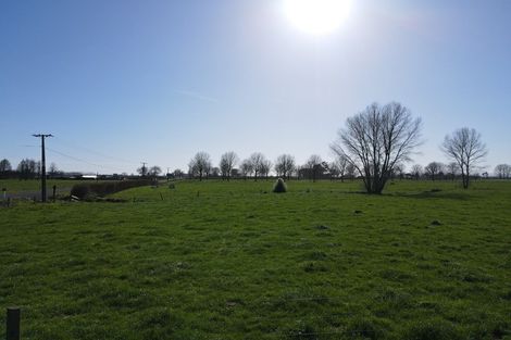 Photo of property in 91 Goodwin Road, Ohaupo, Cambridge, 3495