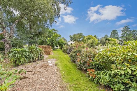 Photo of property in 62 High Street, Southbridge, 7602