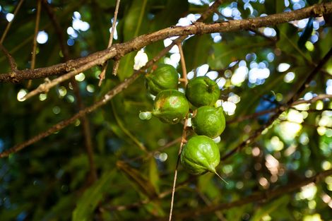 Photo of property in 107 Ohiwa Loop Road, Waiotahe, Opotiki, 3198