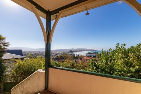 Photo of property in 100 Norfolk Street, Saint Clair, Dunedin, 9012