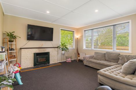 Photo of property in 24 Snowdon Avenue, Terrace End, Palmerston North, 4410