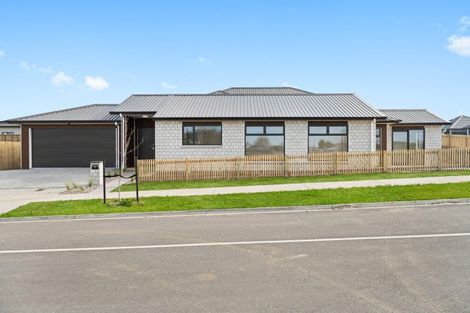 Photo of property in 11 Barberry Drive, Morrinsville, 3300