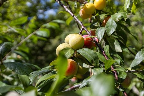 Photo of property in 26 Brick Bay Drive, Sandspit, Warkworth, 0982